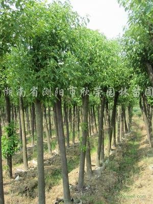 基础连接已经关闭:服务器关闭了本应保持活动状