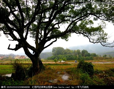 祝贺张叔为教育体系做出杰出贡献的人们