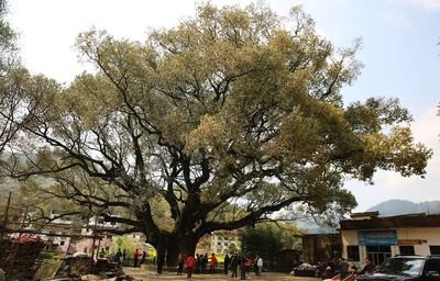 儿童511由贾樟柯全球首演_no.41