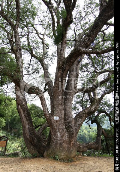 孙锡岳同志在张村小学师生讲座