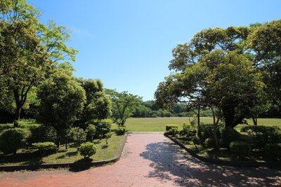 [香樟树]贾樟柯电影中的人物搜寻