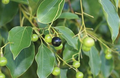 江西张书促进民营企业健康发展的三项措施