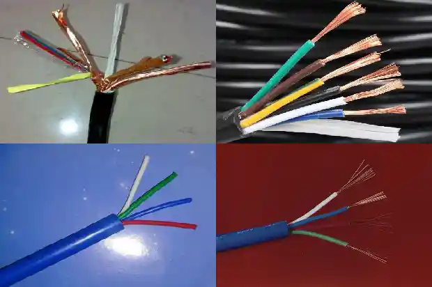 µçÀÂwdzn-yje1772325528047 µçÀÂwdzn-yje1772325528047