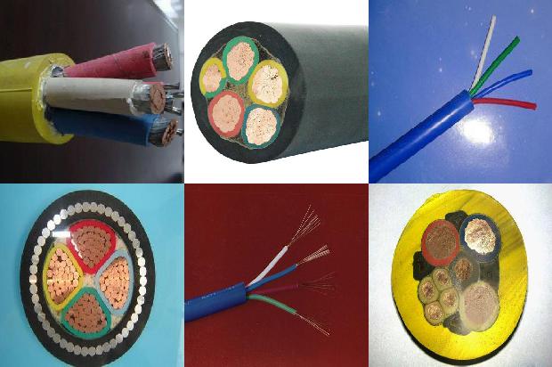 ú�������1772416907965