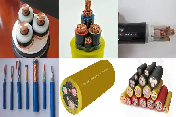 zc-kvvp����1772416486844