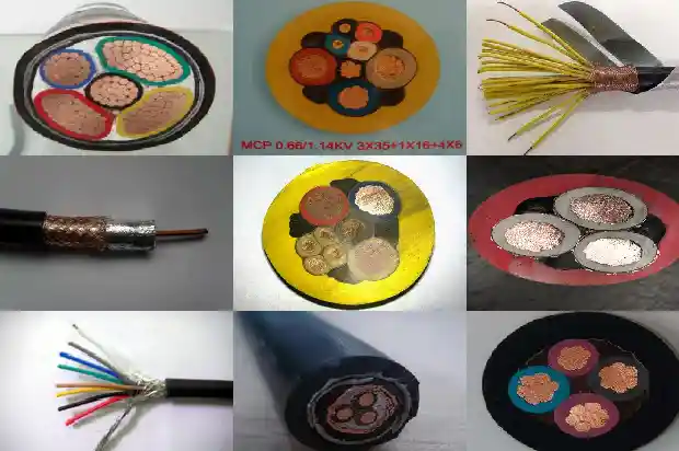 ������������1772326510846