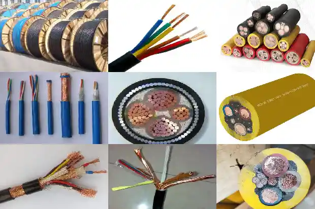 1*25����1773623232359