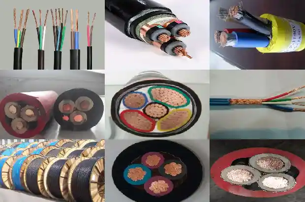 ���õ���mkvv1773884260434