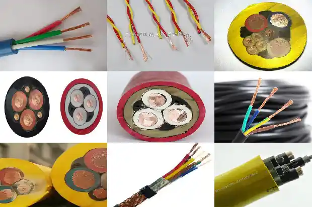 myp jú���õ���1773885006661