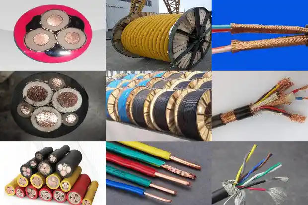 ����������1773884455458