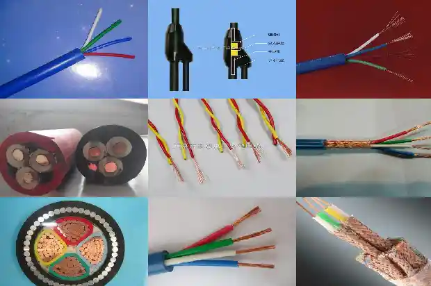 jypvp22����1773884208738