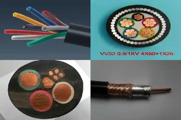 ����rvvp1773709032141