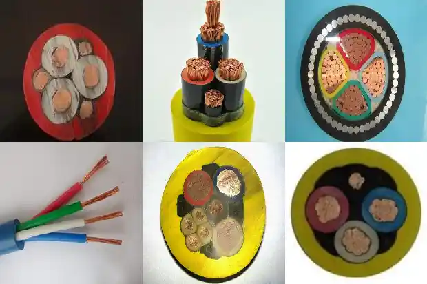 ˫�ʵ���1773879151667