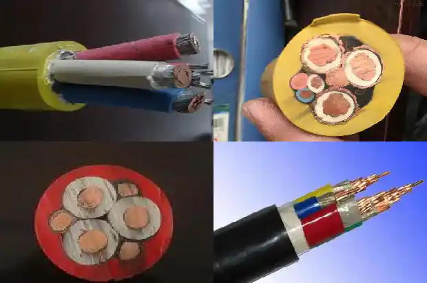 zr-djypvp����1773881560710