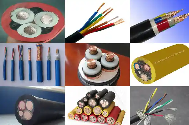 wdzn-byjµçÏß1772414100459 wdzn-byjµçÏß1772414100459