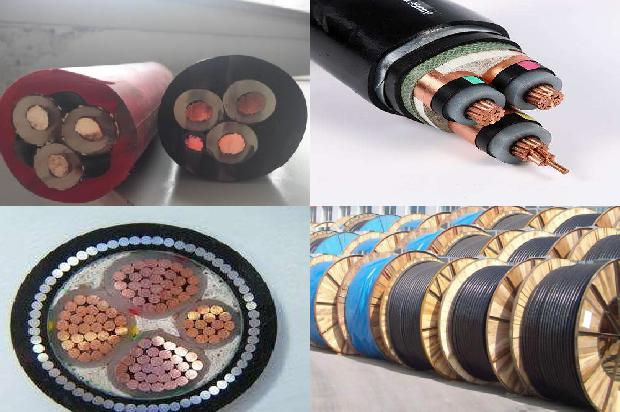 rvv·ÀË®µçÀÂ1772417258427 rvv·ÀË®µçÀÂ1772417258427