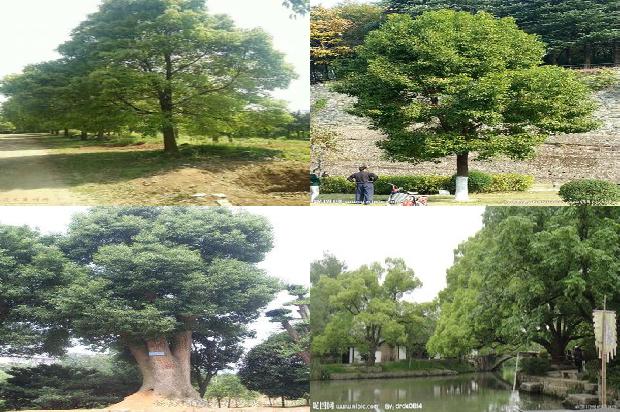 盘州市香樟花园1678150209555