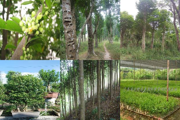 沉香木佛像的价值1674087702757