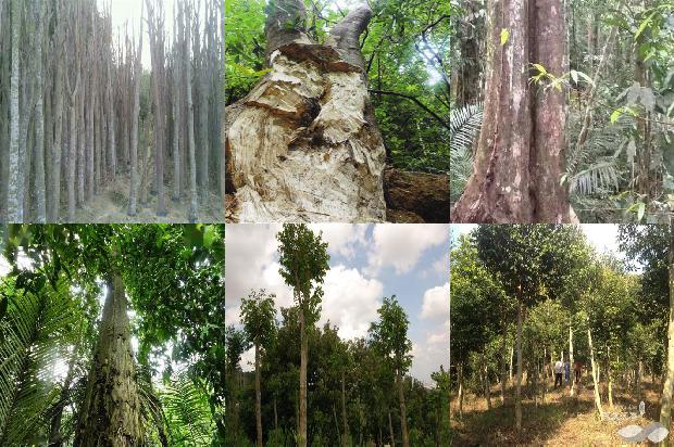 沉香手链的价值1674173894087 沉香手链的价值1674173894087