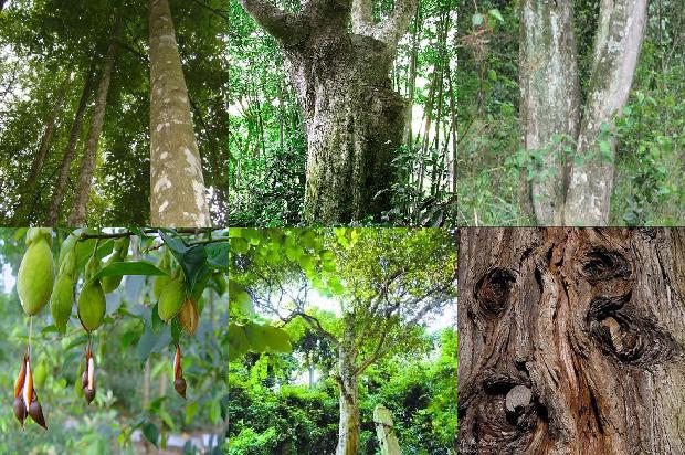 沉香手链的价值1674173894099 沉香手链的价值1674173894099