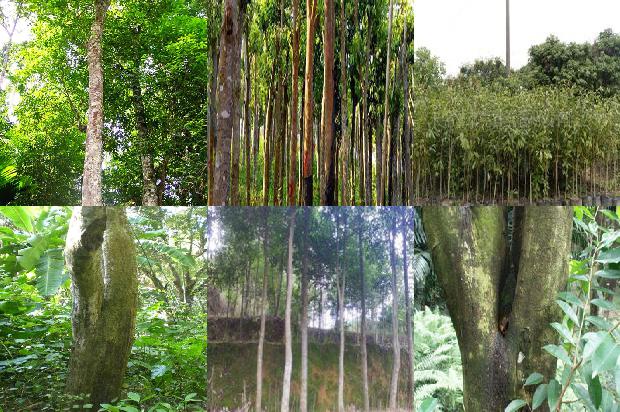 沉香打香篆1674346143561 沉香打香篆1674346143561