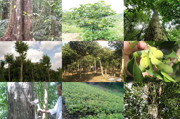 宁沉香1674606236902 宁沉香1674606236902