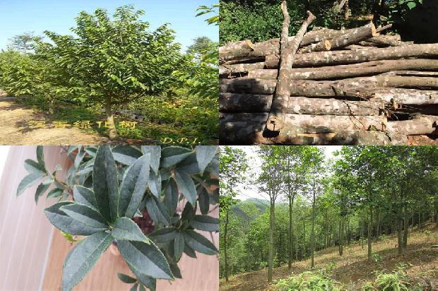 沉香手链价1674692105555 沉香手链价1674692105555