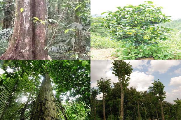 沉香手链价1674692105561 沉香手链价1674692105561