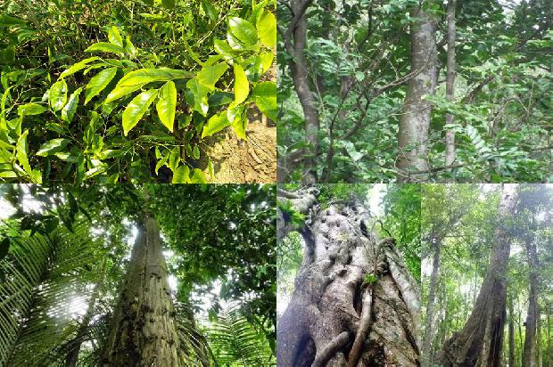 黑色沉香手串一般什么价位1675755438244