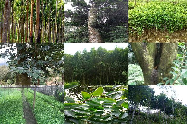 沉香吊坠的价格是多少1675820959606 沉香吊坠的价格是多少1675820959606