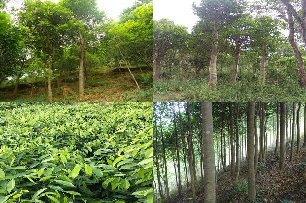 唐域沉香手串一般价格多少1676161156503 唐域沉香手串一般价格多少1676161156503