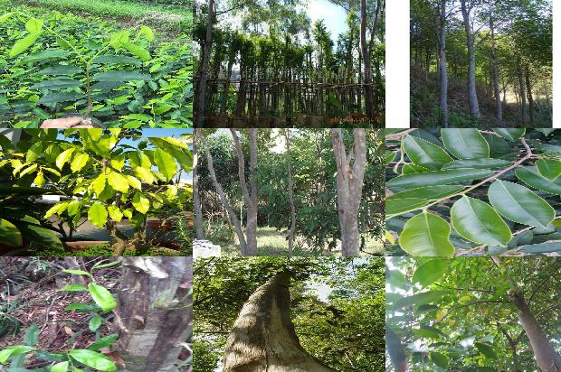 沉香手链的价位1676333540250 沉香手链的价位1676333540250