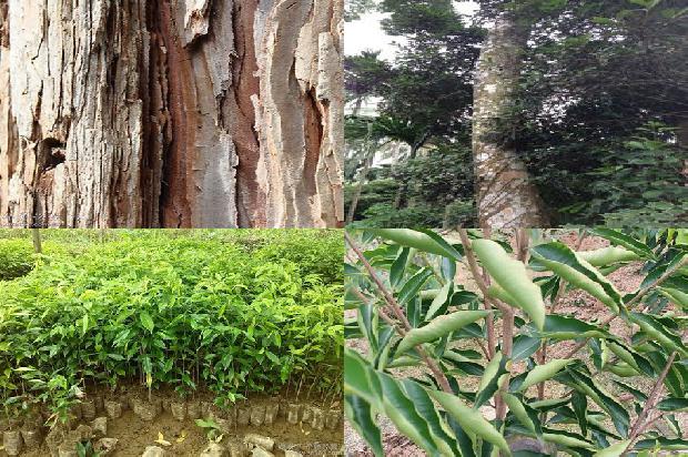 沉香手珠价格是多少1676333702545