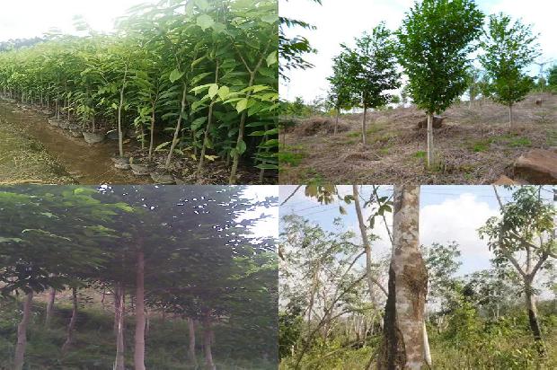 多少钱的沉香手串有收藏价值1676593173381 多少钱的沉香手串有收藏价值1676593173381