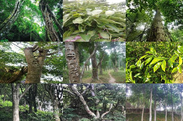 沉香的市场价格沉香的市场价格1676851754297 沉香的市场价格沉香的市场价格1676851754297