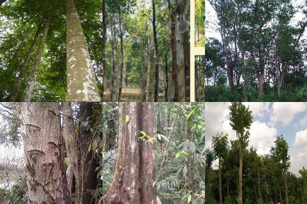 沉香手珠价格多少1676852269440 沉香手珠价格多少1676852269440