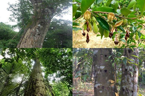 沉香手链多少价格1677110938782 沉香手链多少价格1677110938782