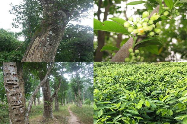 多少价格沉香手链1677111045266 多少价格沉香手链1677111045266