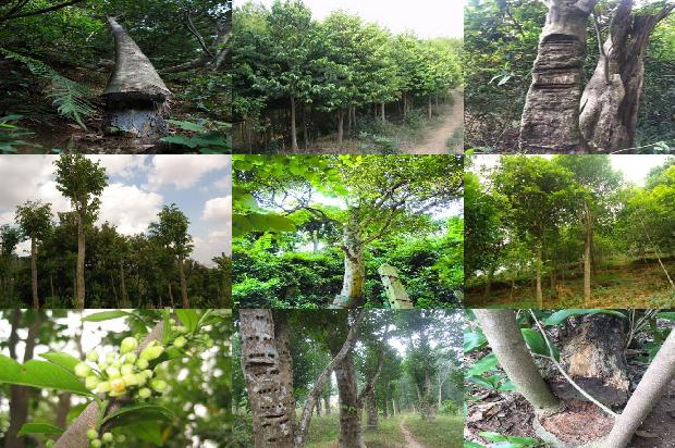 沉香的手串价格是多少1677111481859