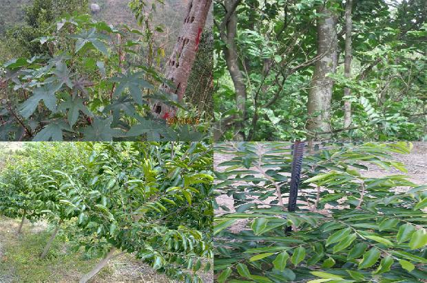 手串沉香的价格是多少1677111530336