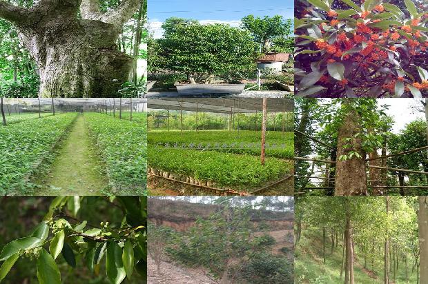 沉香手链什么价格1677197342448 沉香手链什么价格1677197342448