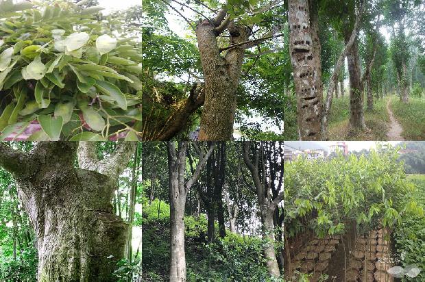 沉香手链什么价格1677197342460 沉香手链什么价格1677197342460