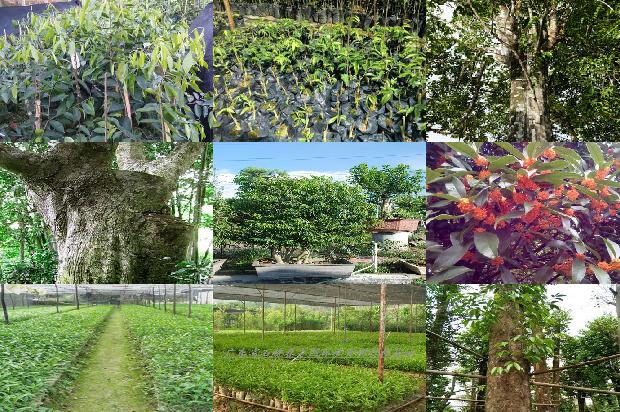 老沉香什么价格1677456924960 老沉香什么价格1677456924960