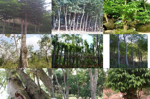 老料沉香手串价格1677975139064 老料沉香手串价格1677975139064