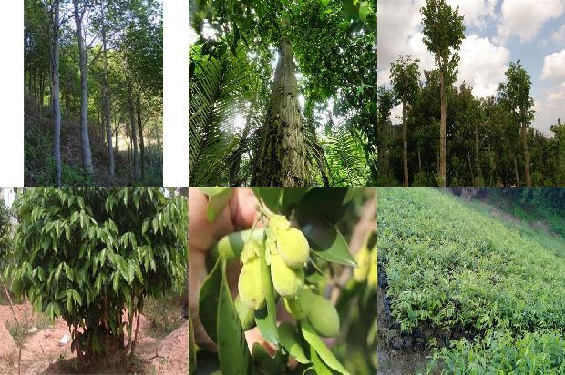 沉香链的价格1677975541362 沉香链的价格1677975541362