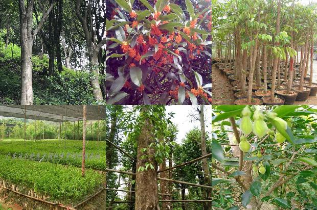 老料沉香价格1678061340646 老料沉香价格1678061340646