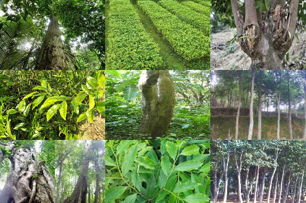 祁南沉香价格1678148221336