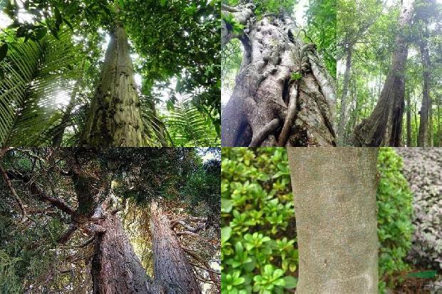 祁南沉香价格1678148221348