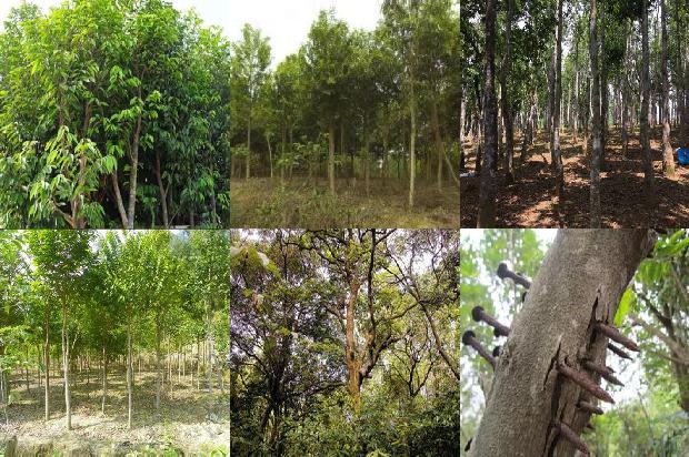 沉香摆件的价格1678234847712 沉香摆件的价格1678234847712