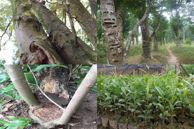 沉香摆件的价格1678234847718 沉香摆件的价格1678234847718